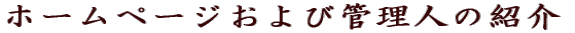 z[y[WъǗl̏Љ